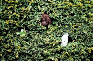 23-hedge2-copy